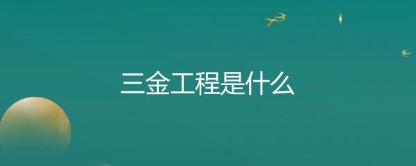 河北三金网络化，成功案例与经验分享