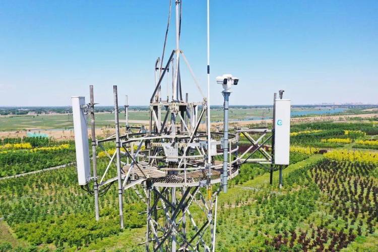 雄安智能网站建设电话,让您的网站如 eagles 风行