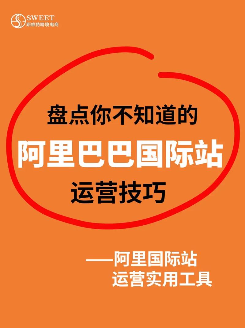指南，阿里巴巴网站建设销售