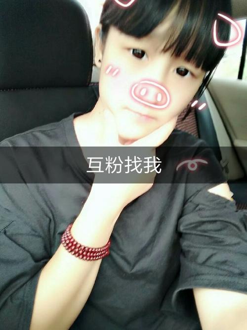 快手刷死粉自助下载指南