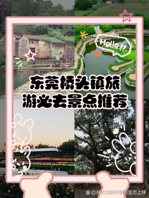 桥头镇，本地特色与网络推广机会