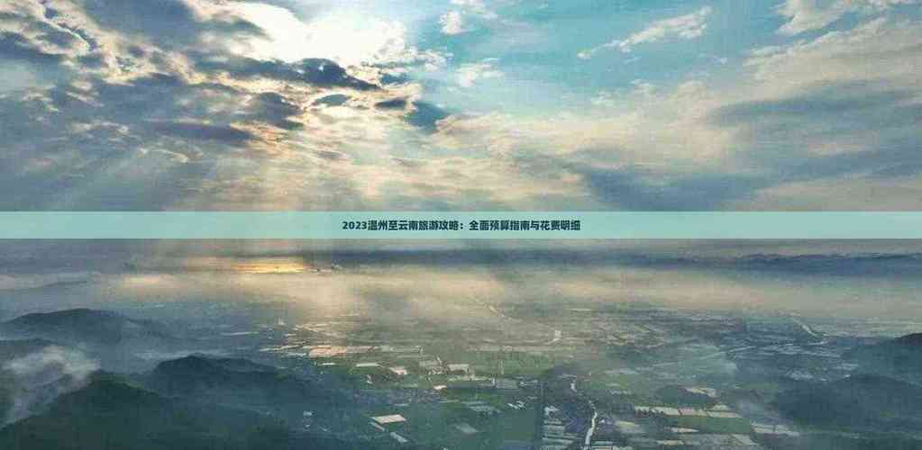 遵义SEO与MCV营销费用解析，从预算到收益的全面指南