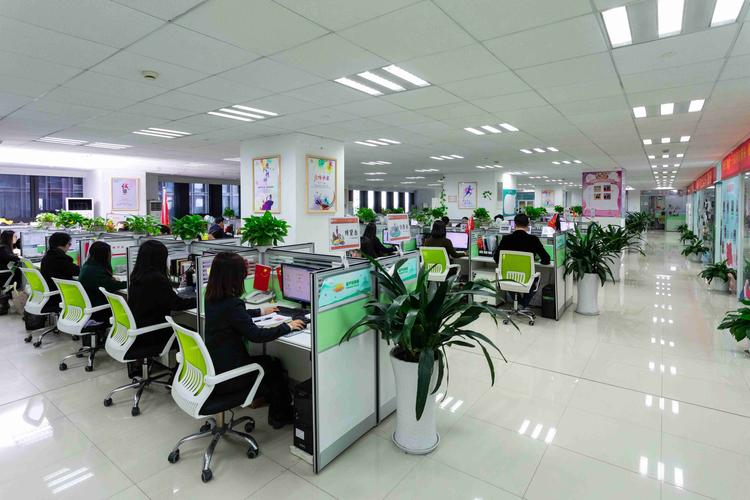 温州 网络开发有限公司,科技与商业的完美结合