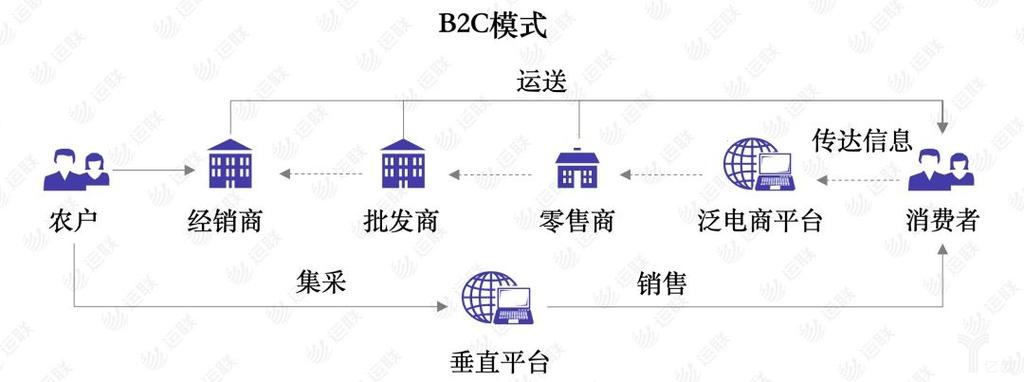 网络时代的B2C格局,从网络到连接,探索B2C网络科技的发展