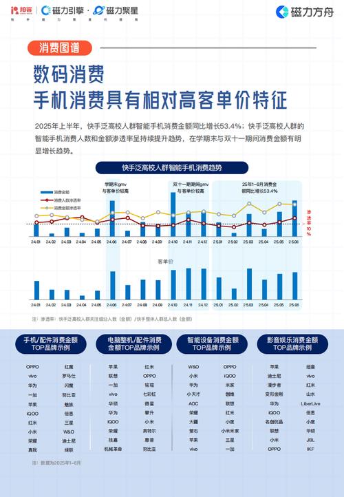快手KOL低价秒刷与自助下单，用户行为分析与定价策略解析