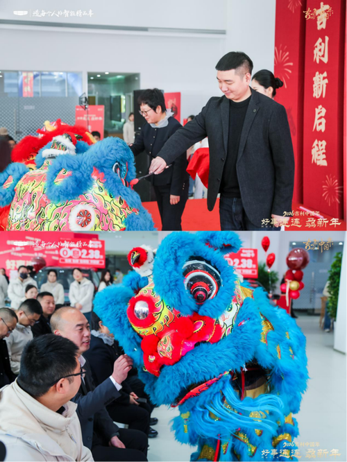 为何选择河北七星网络科技