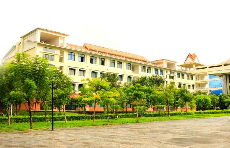 芒市网络科技软件公司,你的理想选择?