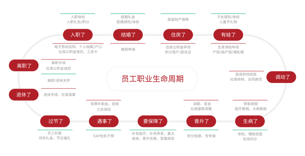 的全生命周期指南