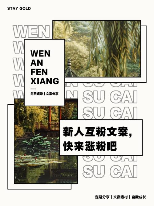 开启你的免费涨粉之旅