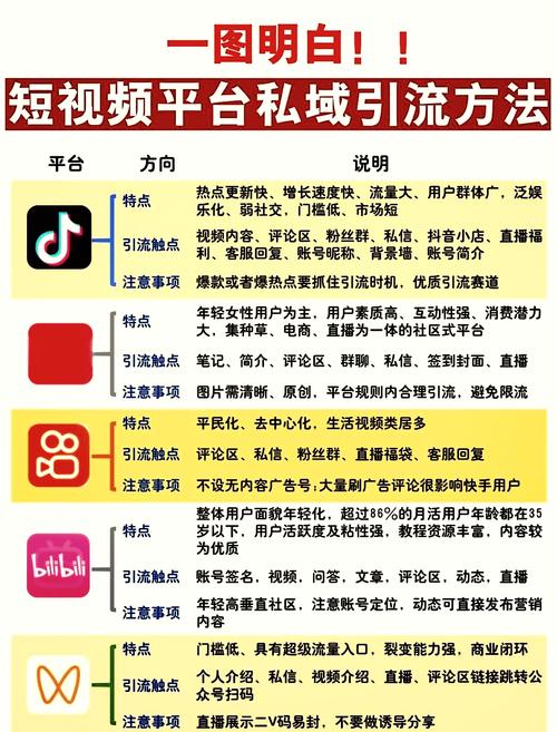 视频分享平台的选择指南