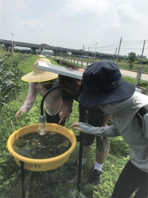 肩头上的技术难题，东莞虫虫科技网络公司来帮忙！