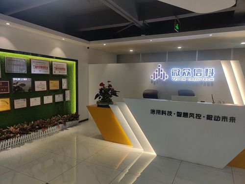 龙岗网站 深圳信科 网站优化指导