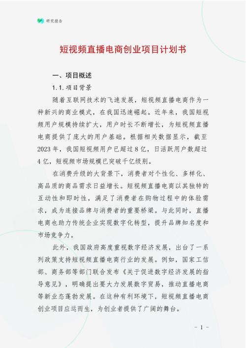 网络公司网站策划书