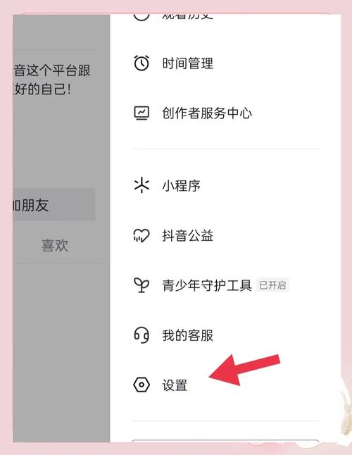 如何用快手秒到和抖音提高浏览量，从入门到进级指南