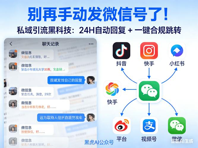 抖音双击量网站，精准流量获取的秘密武器