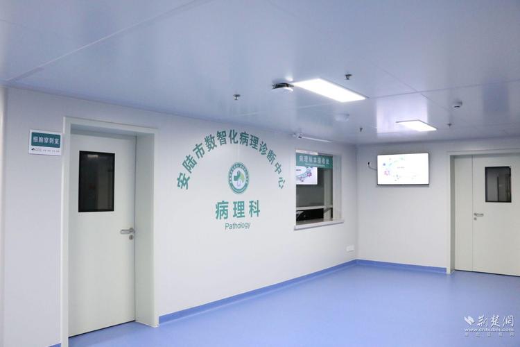 安陆企业网站建设指南