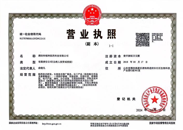 潍坊佳华网络有限公司，互联网时代的创新者
