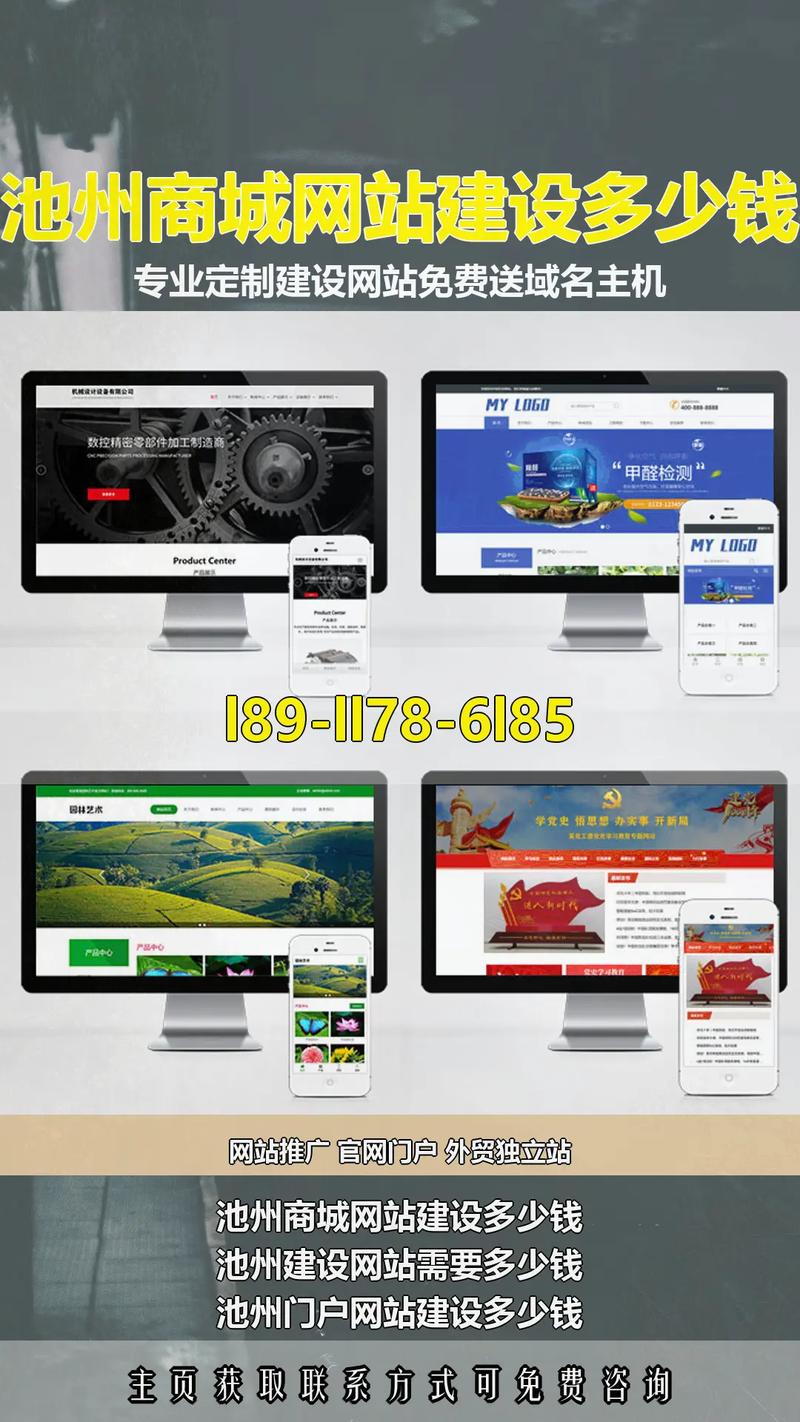 池州专业网站建设哪家好？从专业选择到优化落地，你值得考虑！