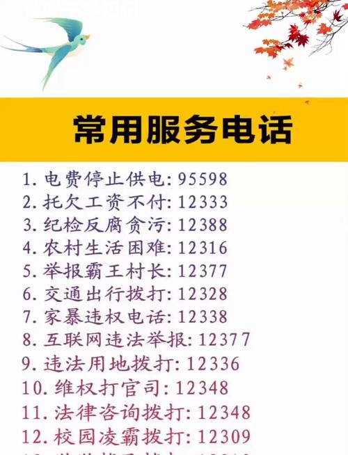 专业网络公司咨询电话指南