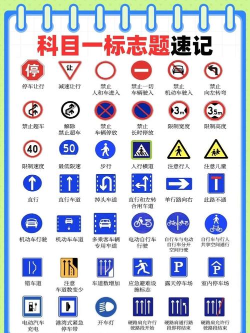 驾考宝典215电脑版，考试技巧与必背知识点全解析