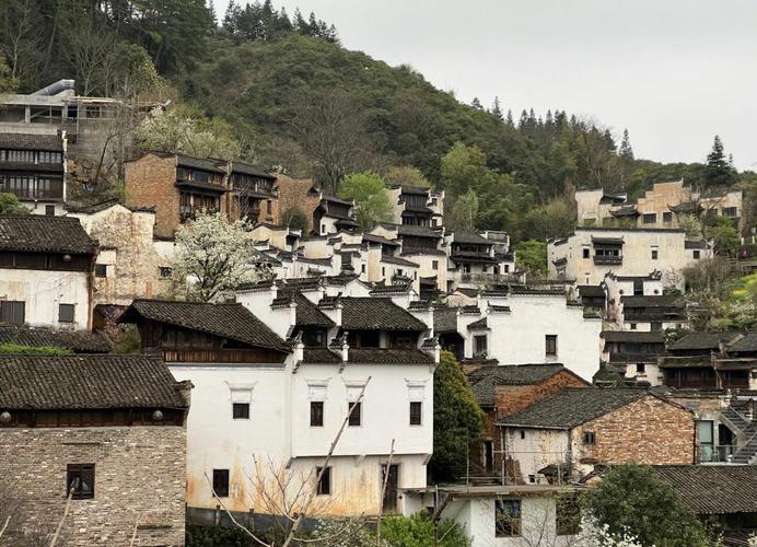 安徽皇岭疫情最新消息,防控措施与应对策略