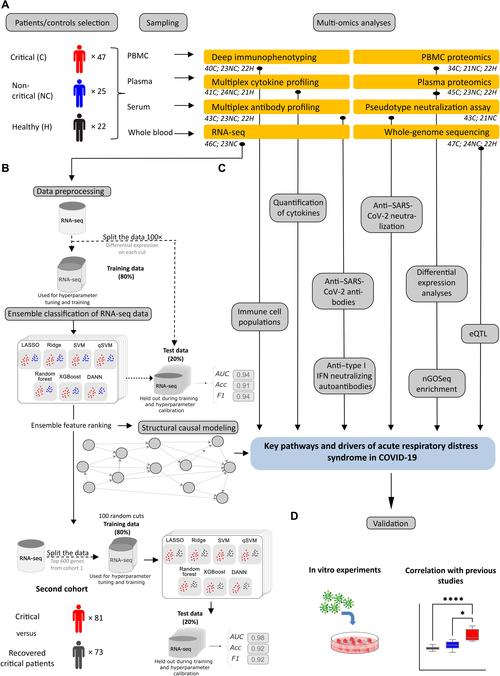 范围广open:你的SEO方法和途径全解析