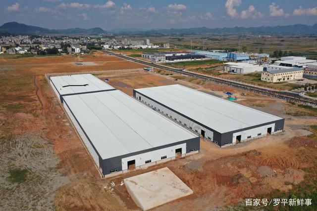 罗平宁波企业网站建设，助力企业发展与创新能力提升