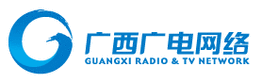 广西网络公司，企业或非企业？你的看法如何？