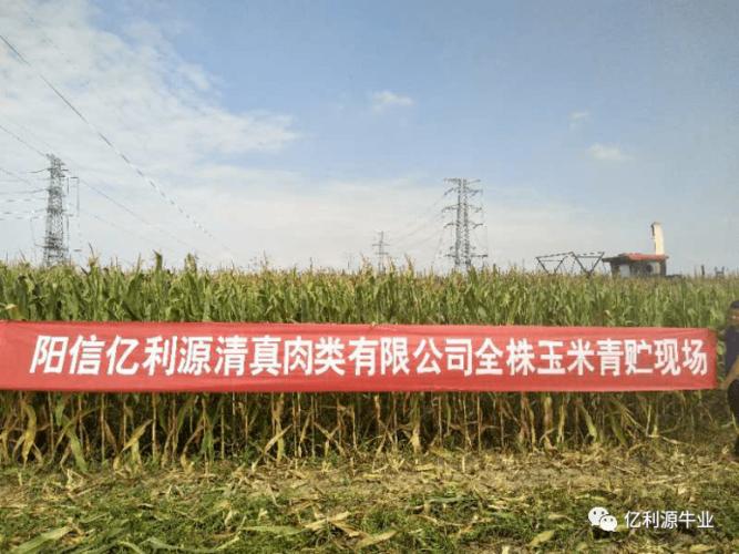 山东源远网络科技怎么样？了解它的核心竞争力