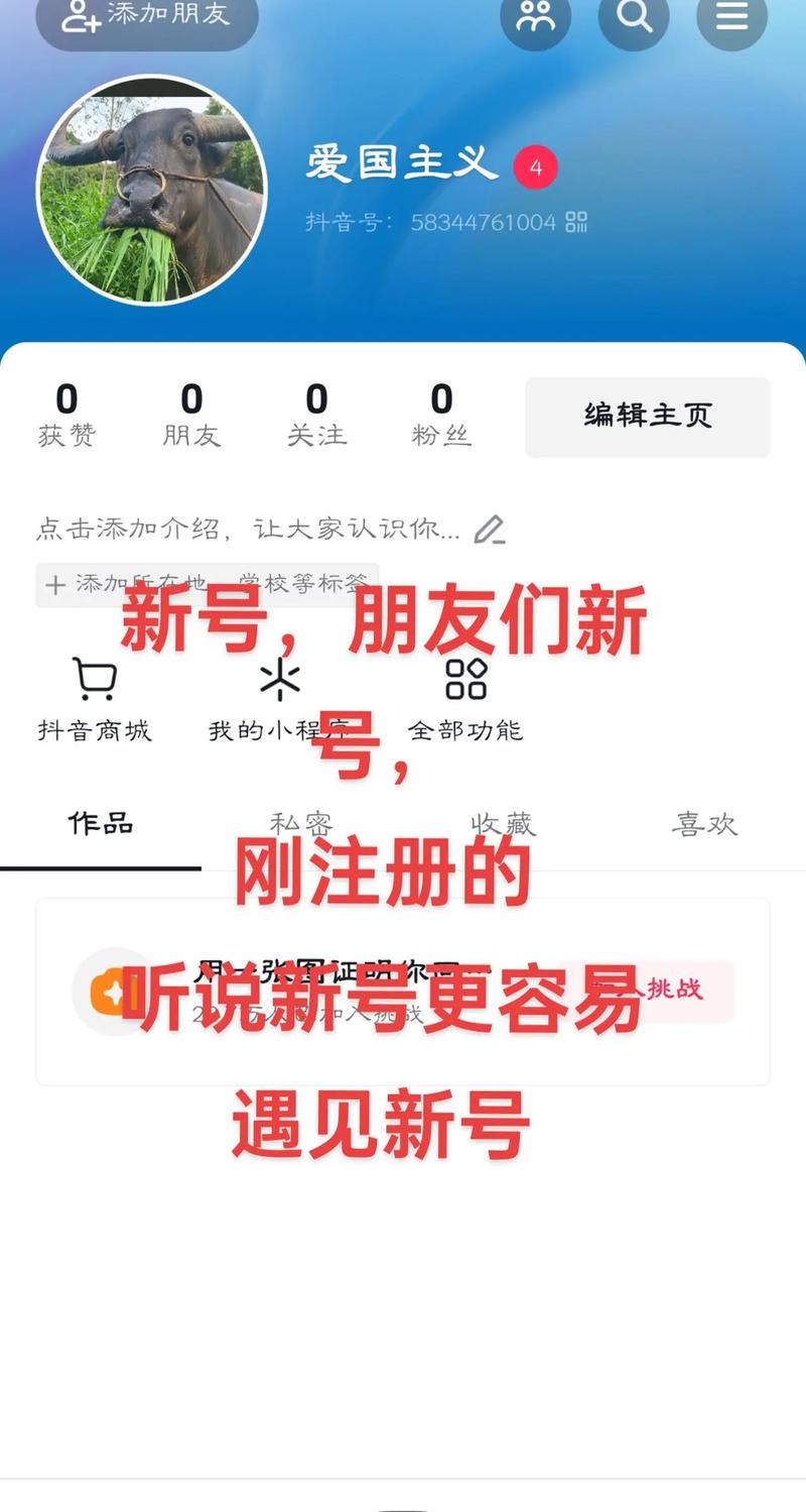 抖音关注代平台，助您轻松获取最新内容