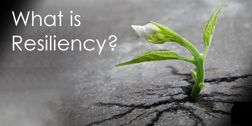 平衡与危机，和平文化村的 resilience 背景与应对之道