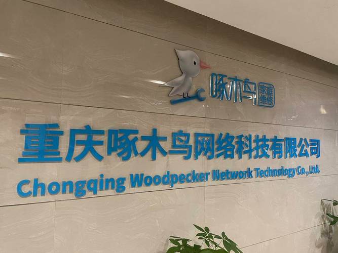 重庆网络有限公司简介