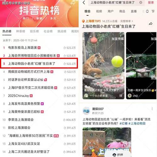 如何在抖音上运营赞自助下单网站，尤其是关于dy业务下单24小时最低价和抖音怎么判定播放量的问题，可以从以下几个方面进行指导和思考