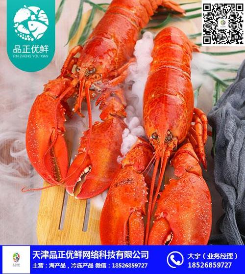 虾门创先网络服务电话，高效沟通的便捷工具