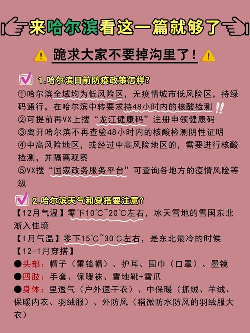 哈市疫情最新消息，数据与应对措施解析