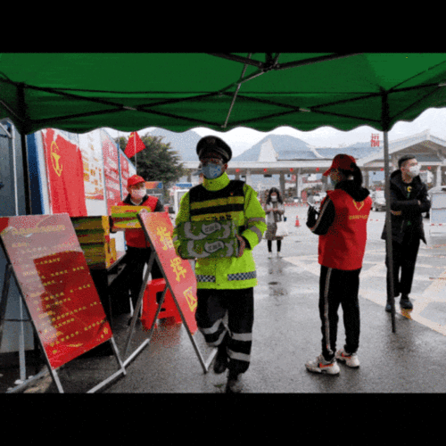 大连苏婷最新疫情动态