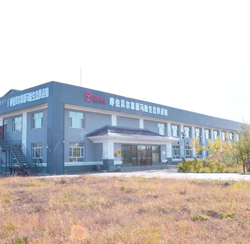 呼伦贝尔网络公司哪家好？