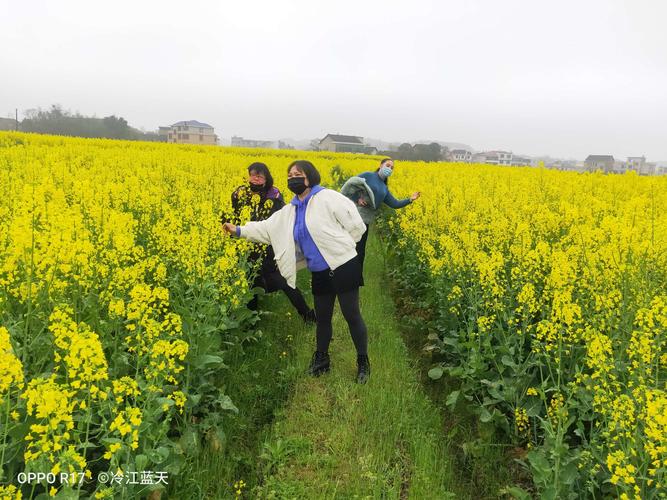 一个温暖的春天—阜城县疫情最新消息