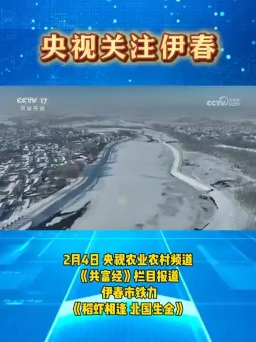 伊春疫情最新消息，你必须知道！