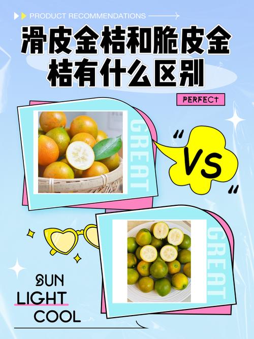 橘子营销，现状分析与创新策略指南