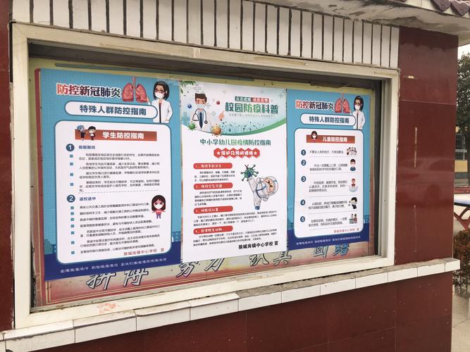 湖南桃花岭疫情最新消息，防控指南与应对之道