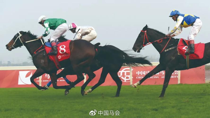 东莞马业最新消息疫情