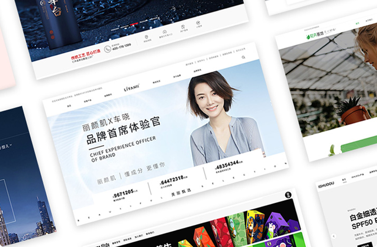 广州品牌网站设计，打造高端品牌形象