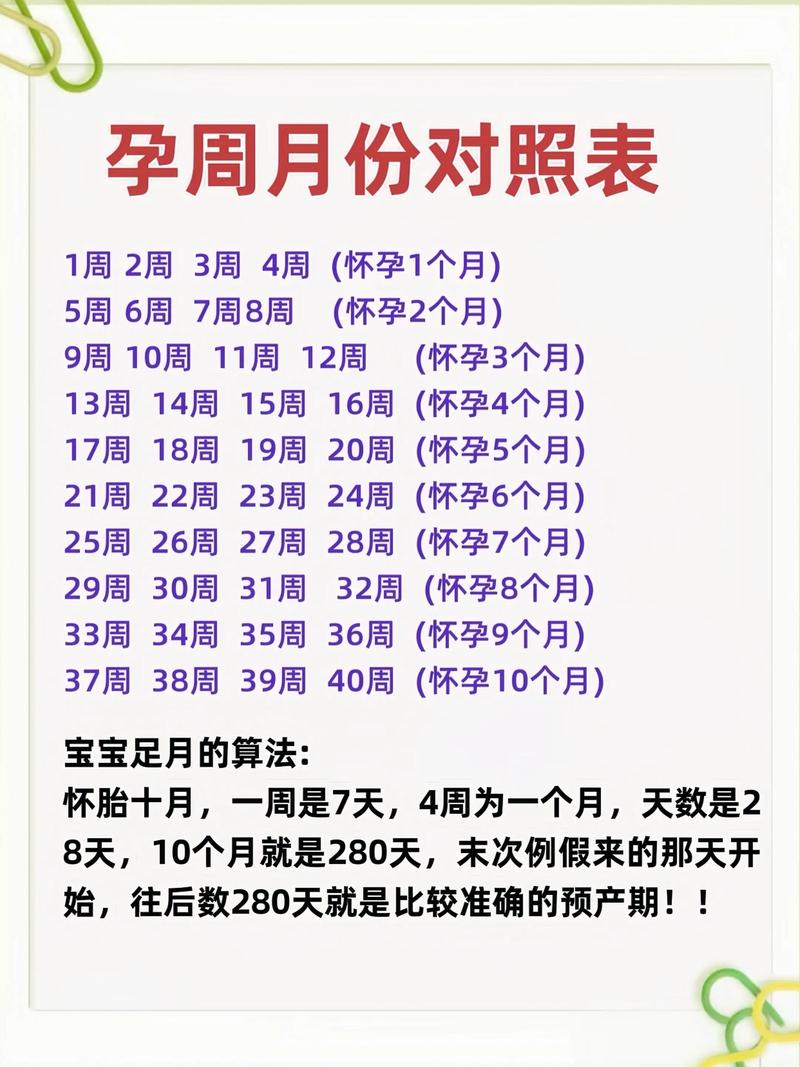 快乐孕期电脑版免费算命指南