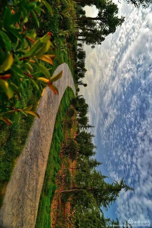 洛城县最新疫情 Alert