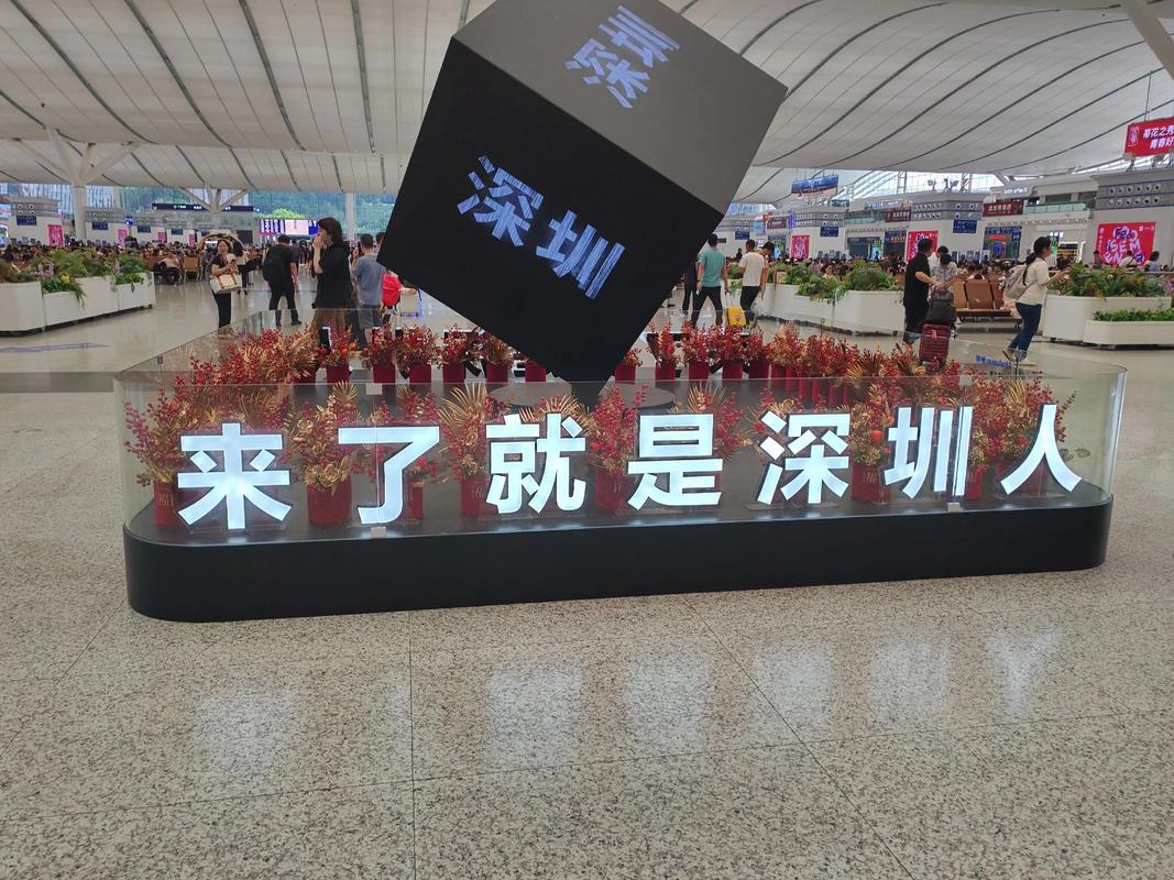 从零开始,玩转龙岗科技,掌握行业之道