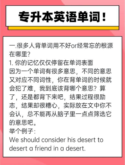 英语新bies如何轻松免考网络统考