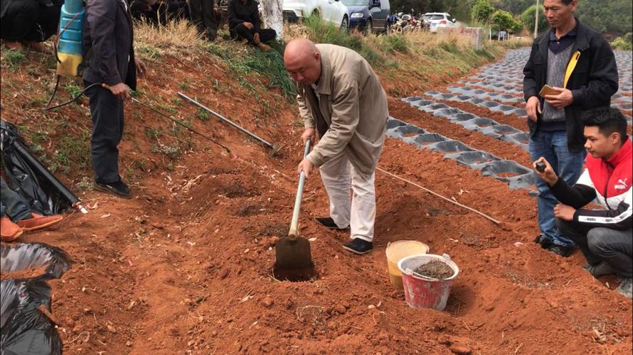 仁和大田疫情最新消息,提前防范,从现在开始