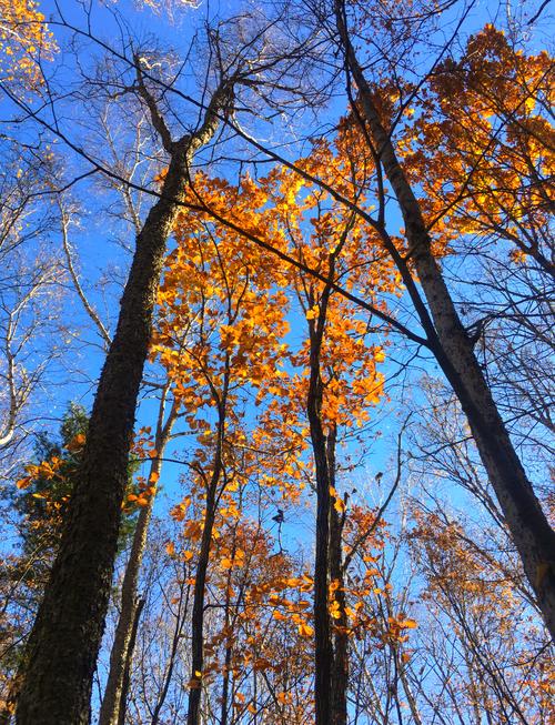 伊春初秋，方寸之间迎接希望