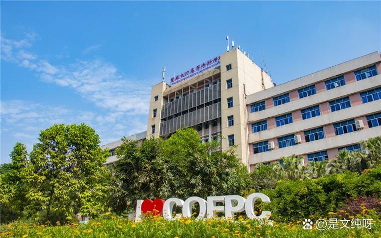 电脑技术学校,云南新华电脑专修学院的未来 destination